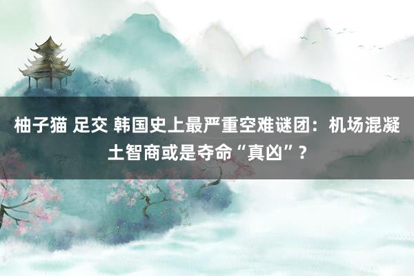 柚子猫 足交 韩国史上最严重空难谜团：机场混凝土智商或是夺命“真凶”？