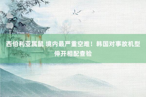 西伯利亚属鼠 境内最严重空难！韩国对事故机型伸开相配查验