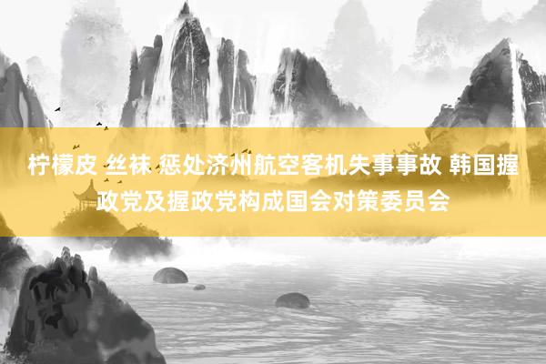 柠檬皮 丝袜 惩处济州航空客机失事事故 韩国握政党及握政党构成国会对策委员会