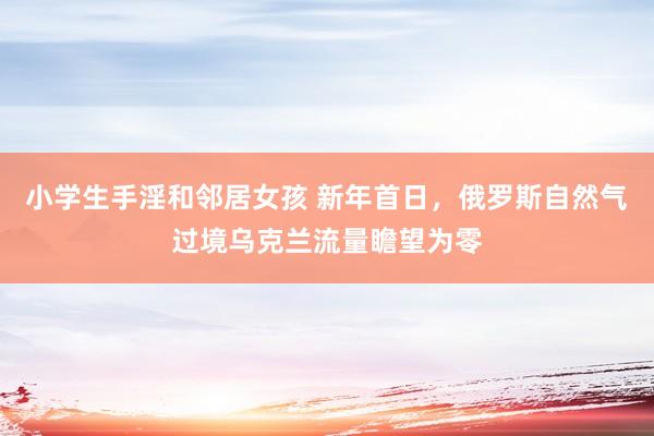 小学生手淫和邻居女孩 新年首日，俄罗斯自然气过境乌克兰流量瞻望为零
