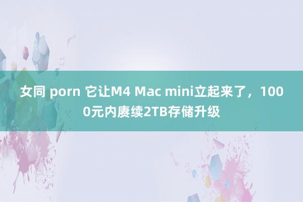 女同 porn 它让M4 Mac mini立起来了，1000元内赓续2TB存储升级
