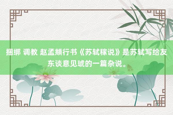 捆绑 调教 赵孟頫行书《苏轼稼说》是苏轼写给友东谈意见琥的一篇杂说。