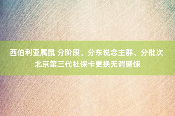 西伯利亚属鼠 分阶段、分东说念主群、分批次 北京第三代社保卡更换无谓蹙悚