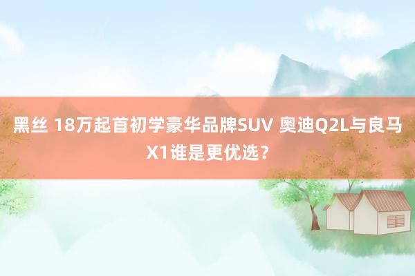 黑丝 18万起首初学豪华品牌SUV 奥迪Q2L与良马X1谁是更优选？