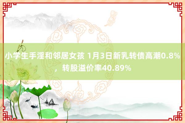 小学生手淫和邻居女孩 1月3日新乳转债高潮0.8%，转股溢价率40.89%