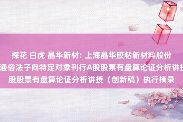 探花 白虎 晶华新材: 上海晶华胶粘新材料股份有限公司2024年度以通俗法子向特定对象刊行A股股票有盘算论证分析讲授（创新稿）执行摘录