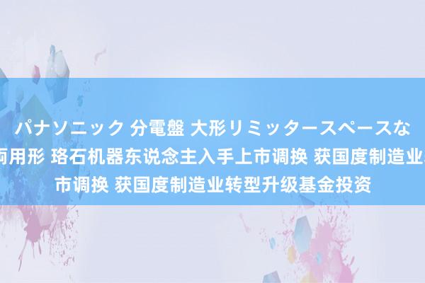 パナソニック 分電盤 大形リミッタースペースなし 露出・半埋込両用形 珞石机器东说念主入手上市调换 获国度制造业转型升级基金投资