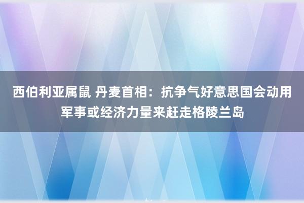 西伯利亚属鼠 丹麦首相：抗争气好意思国会动用军事或经济力量来赶走格陵兰岛