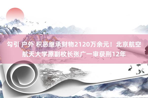 勾引 户外 积恶继承财物2120万余元！北京航空航天大学原副校长张广一审获刑12年