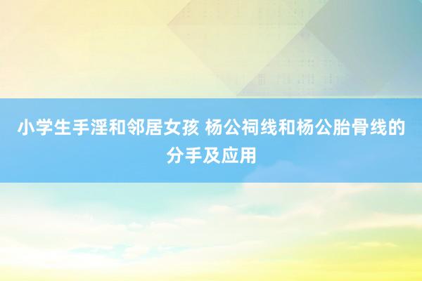 小学生手淫和邻居女孩 杨公祠线和杨公胎骨线的分手及应用