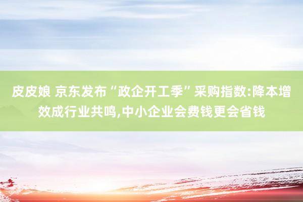 皮皮娘 京东发布“政企开工季”采购指数:降本增效成行业共鸣，中小企业会费钱更会省钱